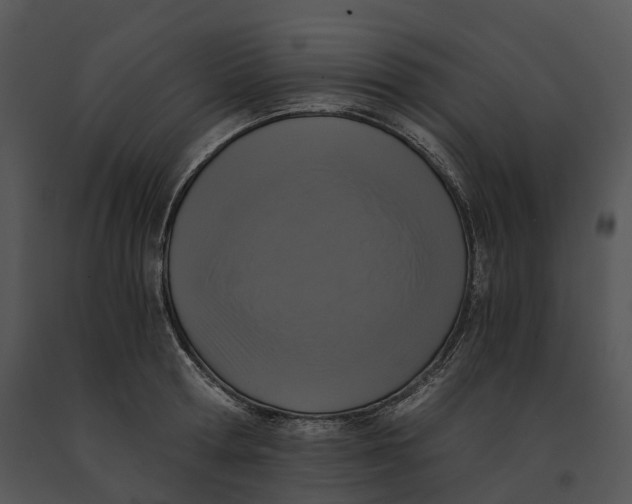 X0000091200802200708301559