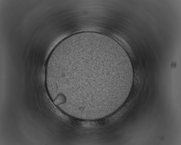 X0000091200804200708301559