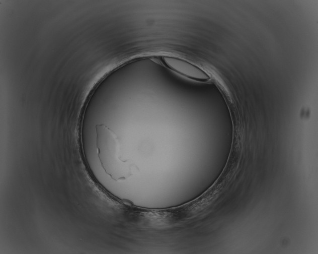X0000091200805200708301559