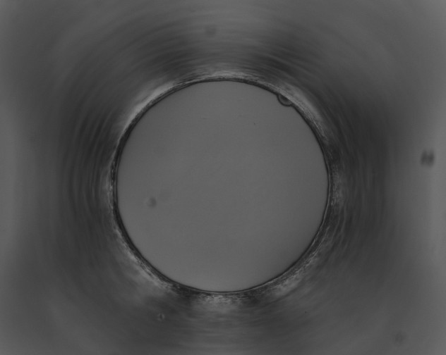 X0000091200806200708301559