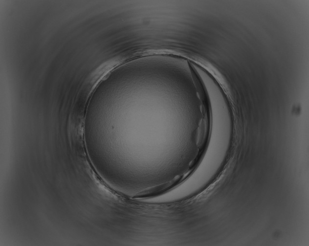 X0000091200809200708301559