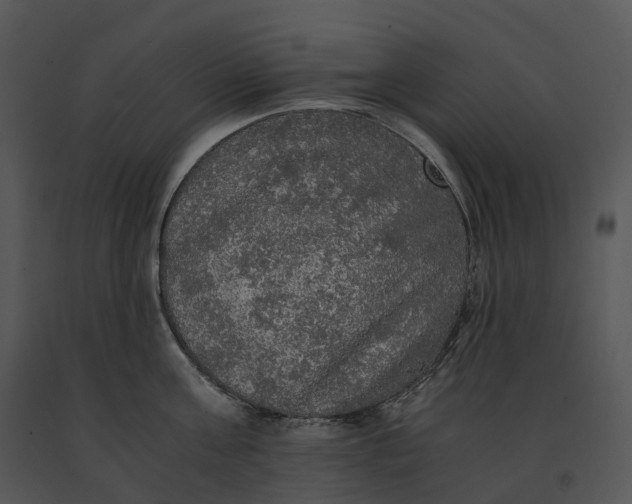 X0000091200811200708301559