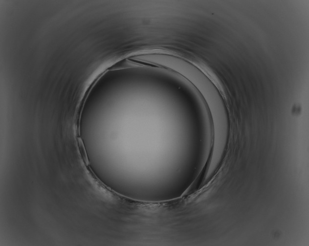 X0000091200813200708301559