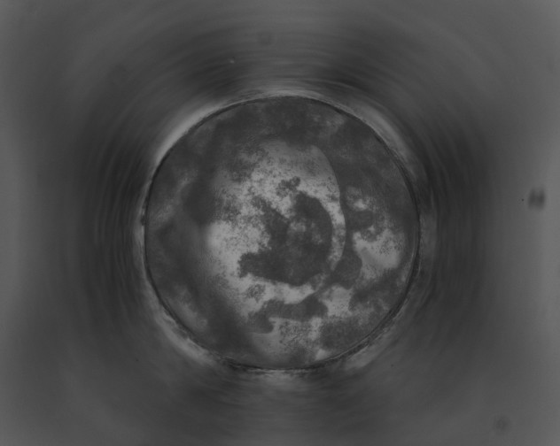 X0000091200814200708301559