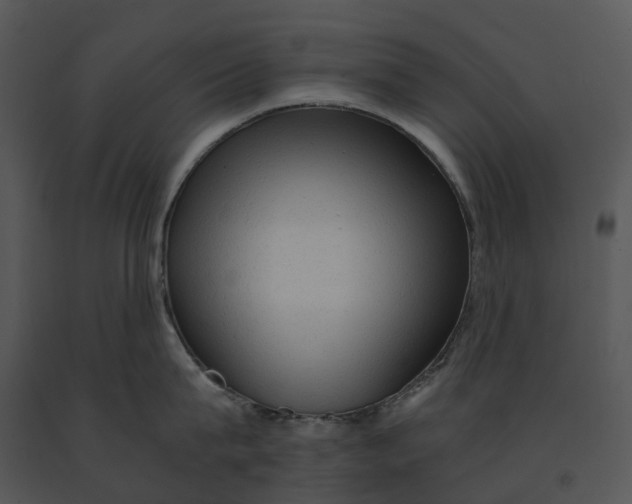 X0000091200815200708301559