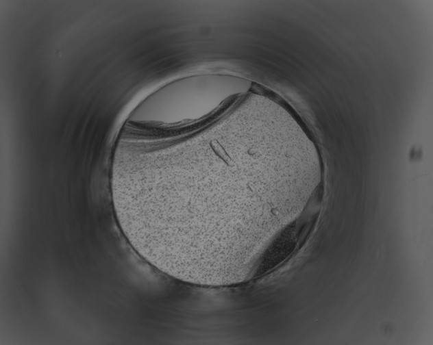X0000091200816200708301559