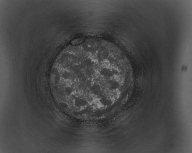 X0000091200817200708301558