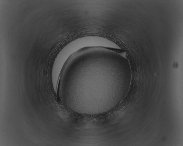 X0000091200818200708301558