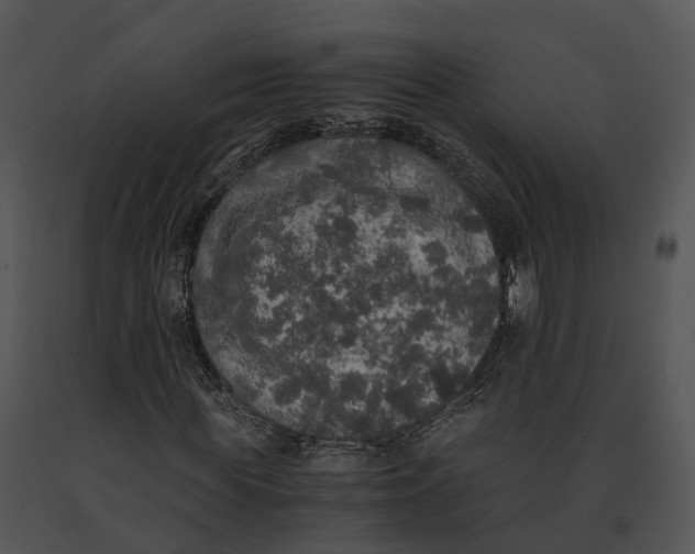 X0000091200819200708301558