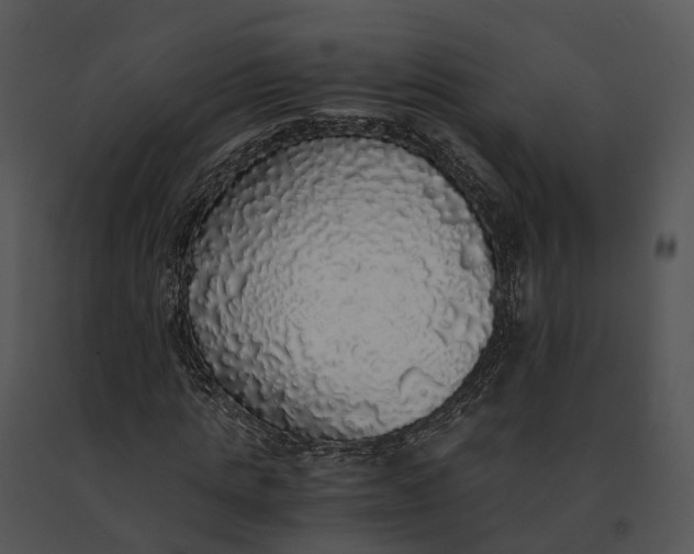 X0000091200821200708301558