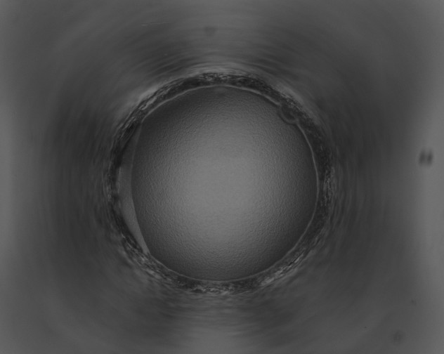 X0000091200822200708301558