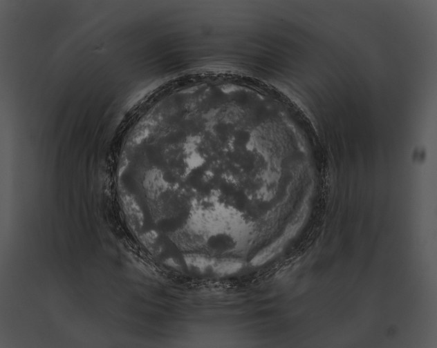 X0000091200823200708301558