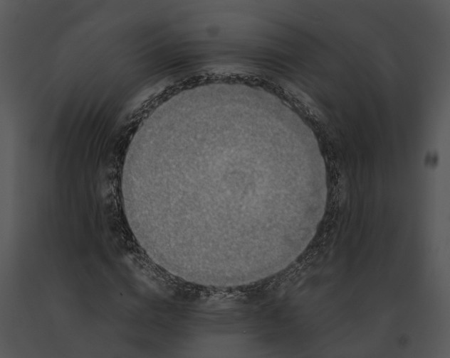 X0000091200824200708301558