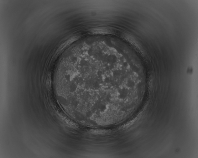 X0000091200825200708301558