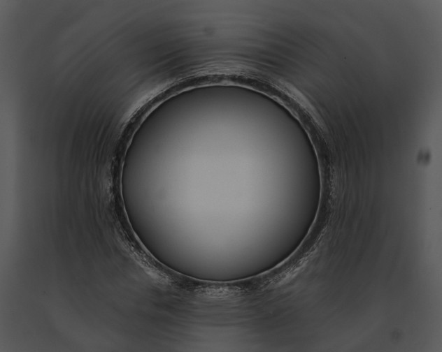 X0000091200826200708301558