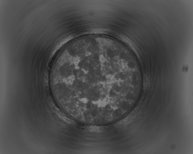 X0000091200827200708301558