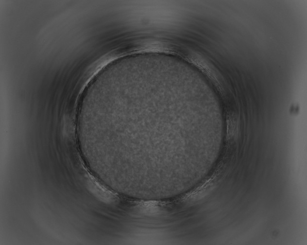 X0000091200828200708301558