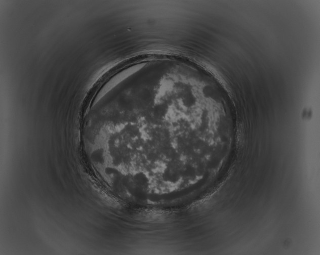 X0000091200829200708301558