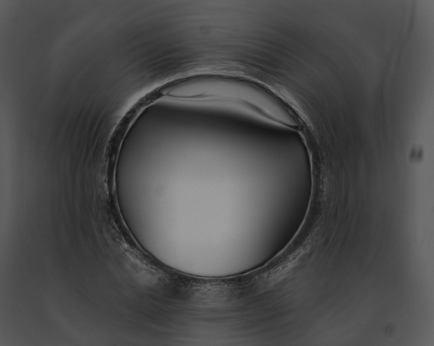 X0000091200830200708301558