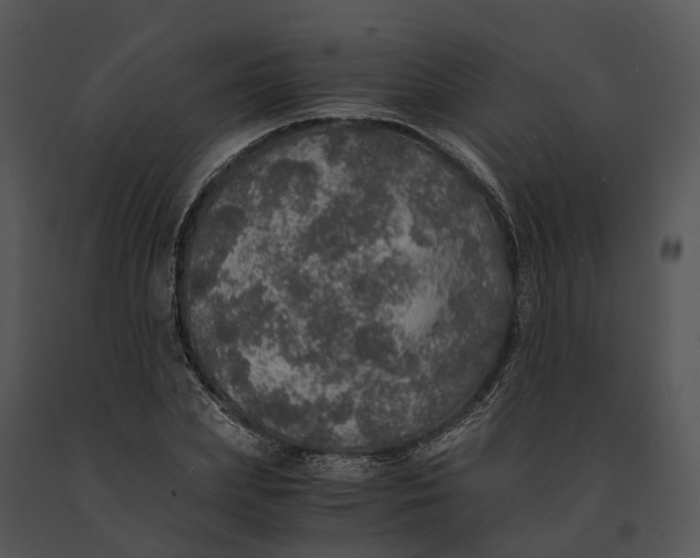 X0000091200831200708301558