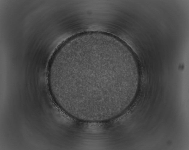 X0000091200832200708301558