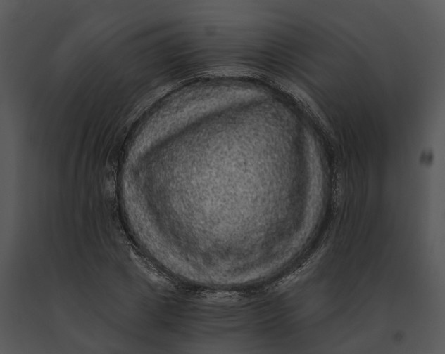 X0000091200833200708301558
