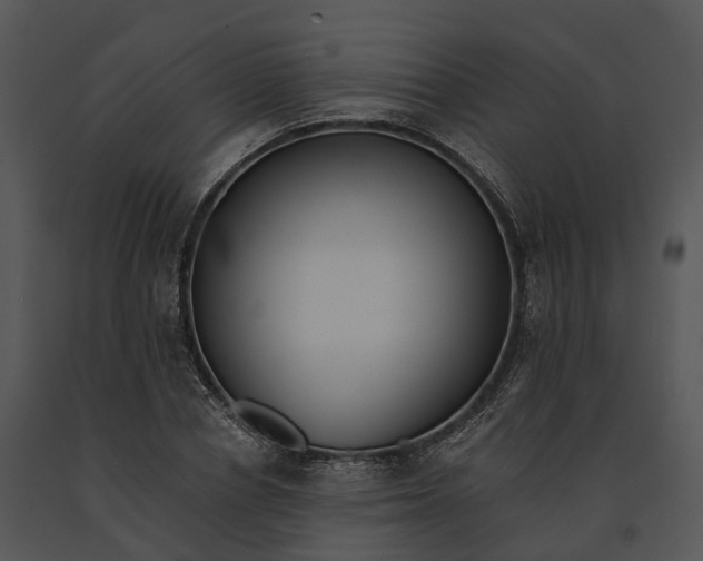 X0000091200834200708301558