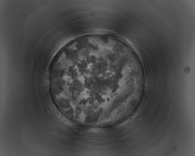 X0000091200835200708301558
