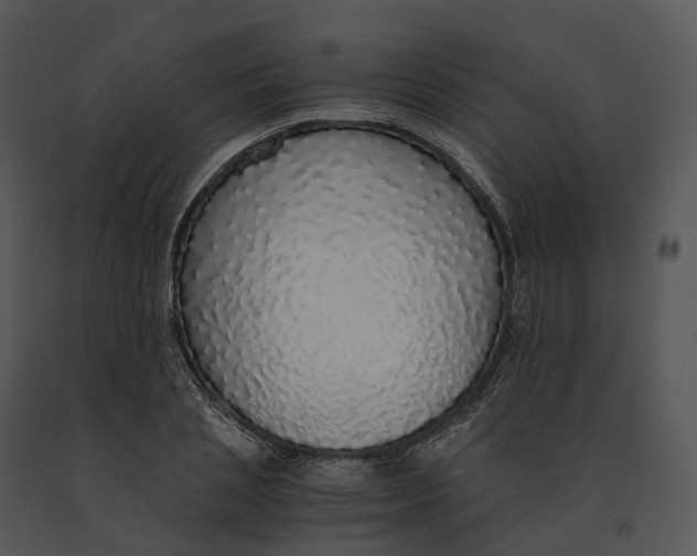 X0000091200837200708301559