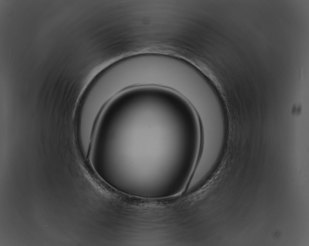X0000091200838200708301559