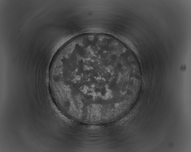 X0000091200839200708301559