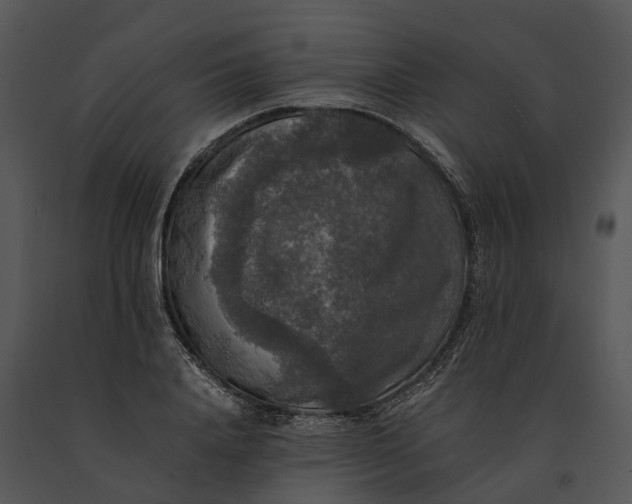 X0000091200840200708301559
