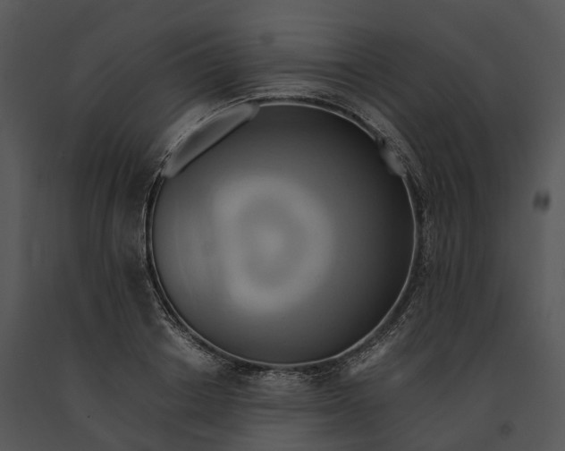 X0000091200842200708301559