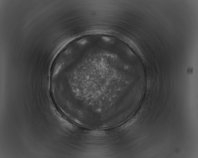 X0000091200844200708301559