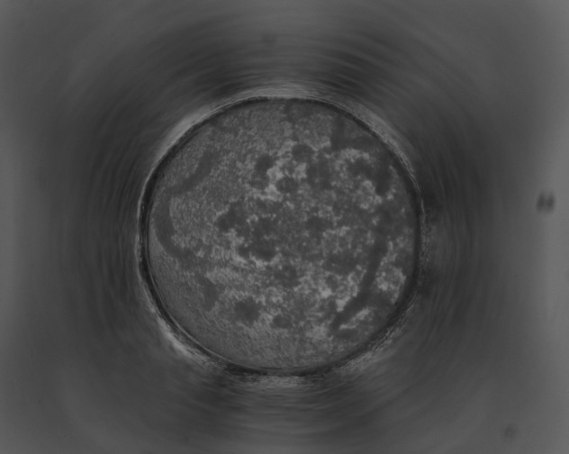 X0000091200845200708301559