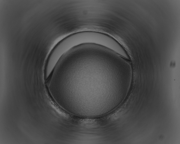 X0000091200846200708301559