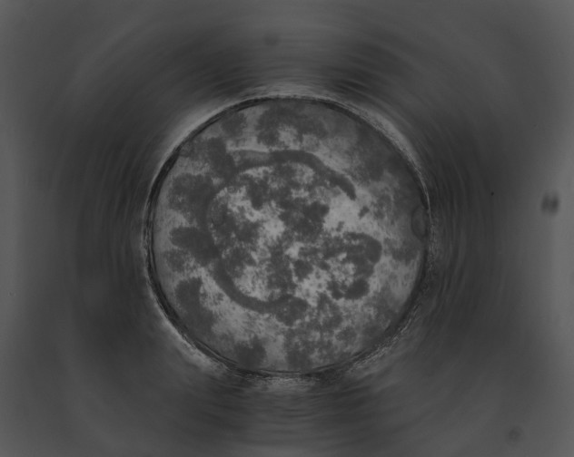X0000091200847200708301559