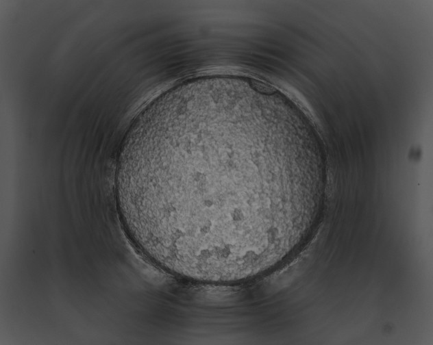 X0000091200849200708301559