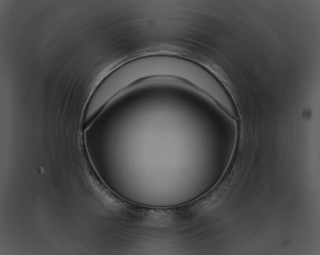X0000091200850200708301559
