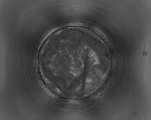 X0000091200852200708301559