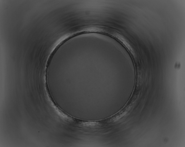 X0000091200853200708301559