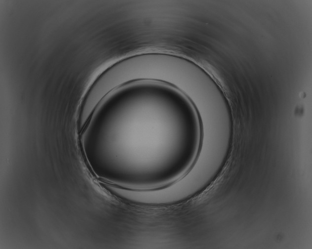 X0000091200854200708301559