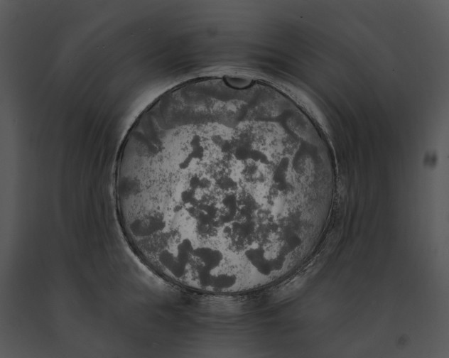 X0000091200855200708301559