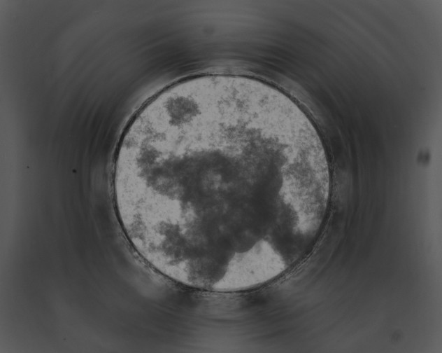 X0000091200856200708301559