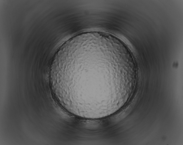 X0000091200857200708301559