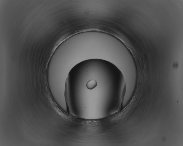 X0000091200858200708301559