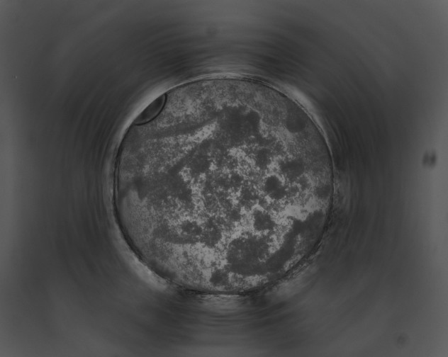 X0000091200859200708301559
