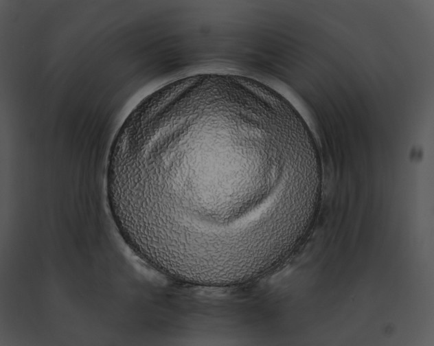 X0000091200861200708301559