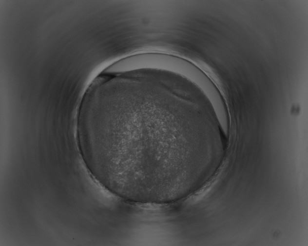 X0000091200862200708301559