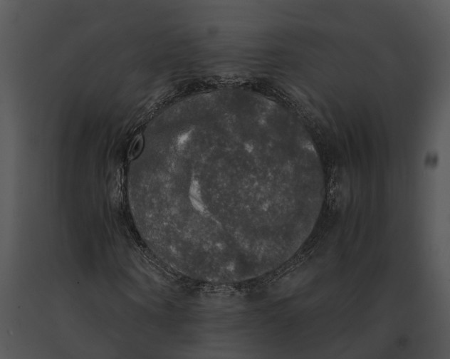 X0000091200866200708301558